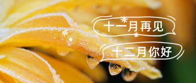 简约实景十二月你好问候公众号首图 模板ID:3790
