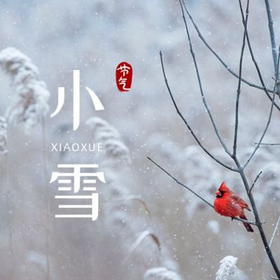 二十四节气小雪清新实景芦苇小鸟公众号次图 模板ID：3277