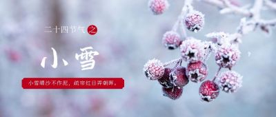 简约实景二十四节气小雪公众号首图 模板ID:3280