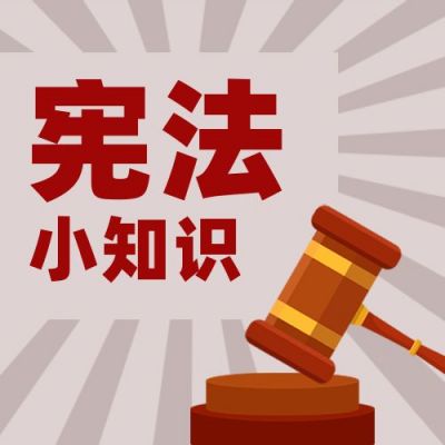 国家宪法日法制宣传法槌简约法律公众号次图 模板ID：3761