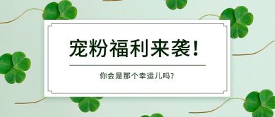 小清新三叶草宠粉福利公众号首图 模板ID：3874