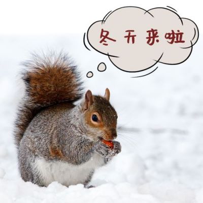 冬日雪景可爱仓鼠屯粮囤热量公众号次图 模板ID:3332