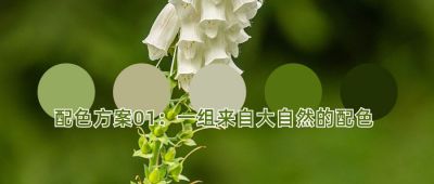 配色方案大自然配色实景公众号首图 模板ID:3309