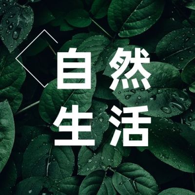 绿色植物清新实景读物生活公众号次图 模板ID:3245