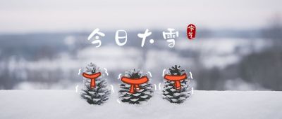 二十四节气实景图雪花大雪小雪冬季公众号首图 模板ID:3370