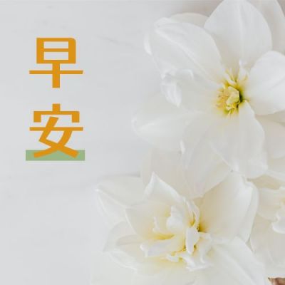 小清新读物分享早安情感公众号次图 模板ID：3321