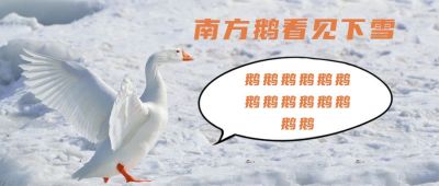 冬日雪景大鹅南方鹅下雪鹅叫趣味公众号首图 模板ID：3333