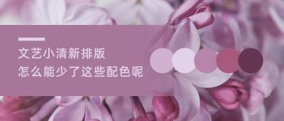 紫色配色方案文艺小清新排版公众号首图 模板ID:3311