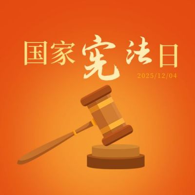国家宪法日法制宣传法槌橙色公众号次图 模板ID:3758