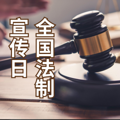 实景法制宣传日国家宪法日宣传公众号次图 模板ID:3784