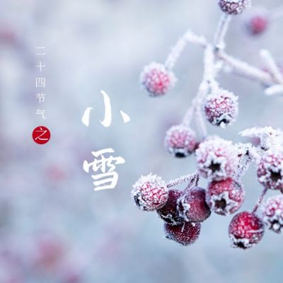 简约实景二十四节气小雪公众号次图 模板ID：3279