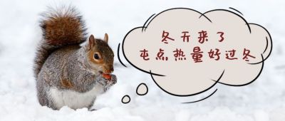 冬日雪景可爱仓鼠屯粮囤热量公众号首图 模板ID:3331