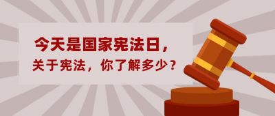 国家宪法日法制宣传法槌简约公众号首图 模板ID：3762