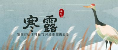 二十四节气秋天芦苇白鹭寒露公众号封面首图 模板ID:2125