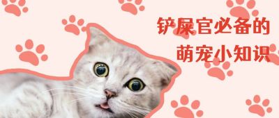 铲屎官必备的养猫知识科普小技巧趣味可爱猫咪公众号首图 模板ID:3458