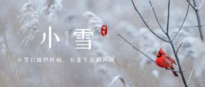 清新实景芦苇小鸟二十四节气小雪公众号首图 模板ID:3278