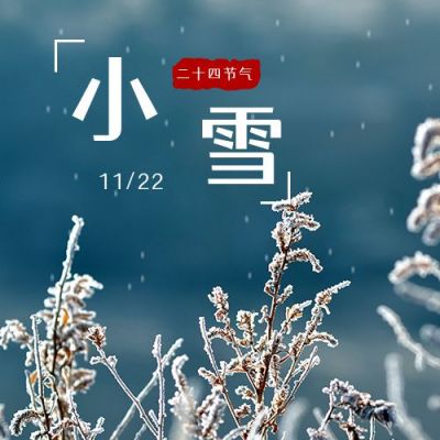 简约实景枯草冬天二十四节气小雪公众号次图 模板ID:3275