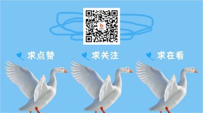 求关注求点赞求在看可爱大白鹅通用二维码 模板ID：3453