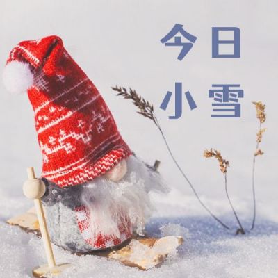 文艺小清新冬日雪景小雪人二十四节气小雪公众号次图 模板ID：3319