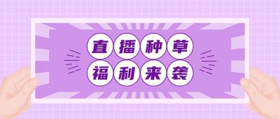 清新文艺紫色双十一电商直播种草带货电商抖音公众号首图 模板ID：2672