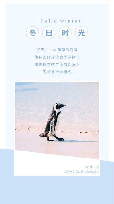 冬季旅游清新浪漫蓝色竖版配图 模板ID:4669