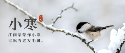 冬日雪景小鸟二十四节气小寒公众号首图 模板ID：4369