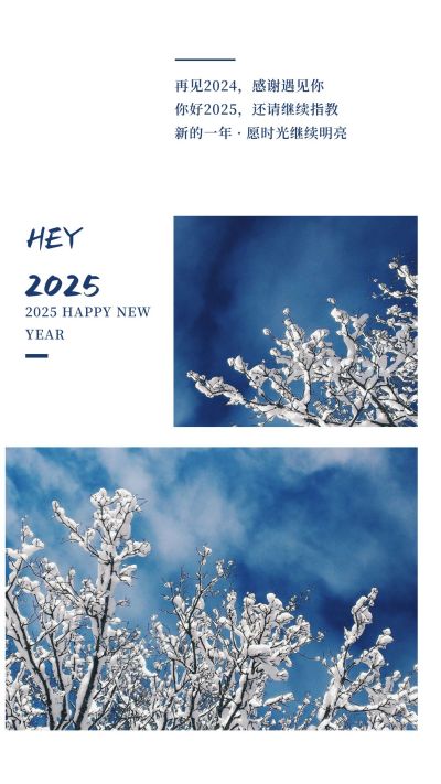 小清新文艺蓝色冬季元旦新年竖版配图 模板ID：4660