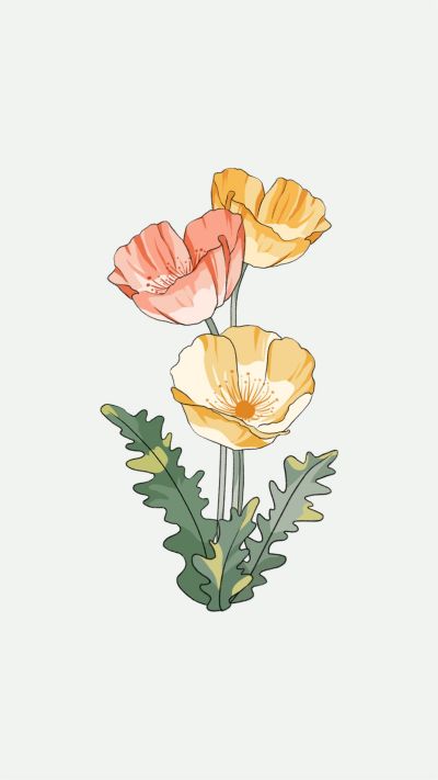 清新简约花卉虞美人手绘插画手机壁纸 模板ID：3301