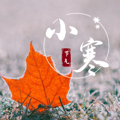清新冬季实景二十四节气小寒公众号封面次图 模板ID：4684