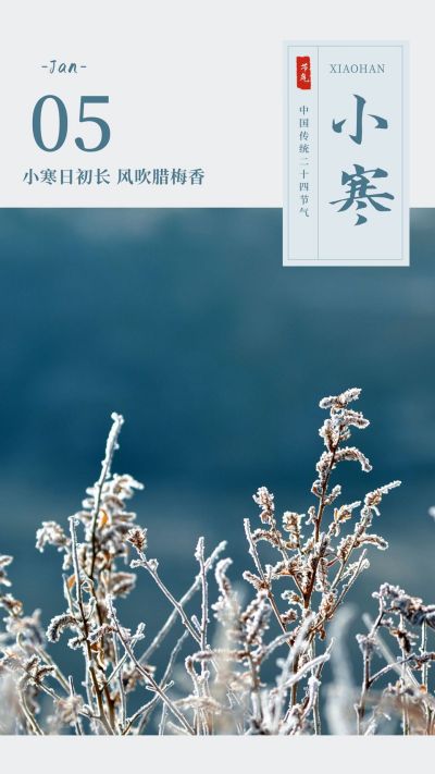 中国风文艺冬季小寒竖版配图 模板ID:4850