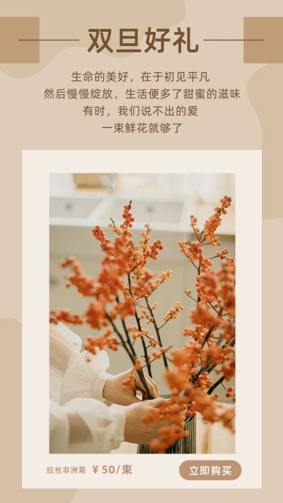 双旦年货节电商促销活动竖版配图 模板ID：3900