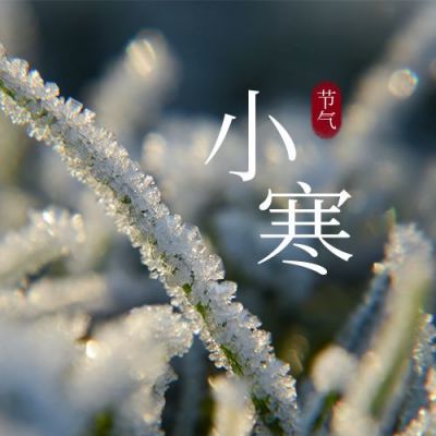 冰晶实景小寒节气公众号次图 模板ID:4695