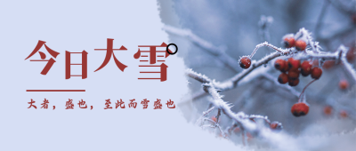 二十四节气大雪冬季霜雪浆果实景日签公众号首图 模板ID：3906