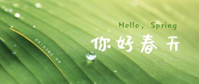 绿色树叶你好春天春意盎然日签 模板ID：4583