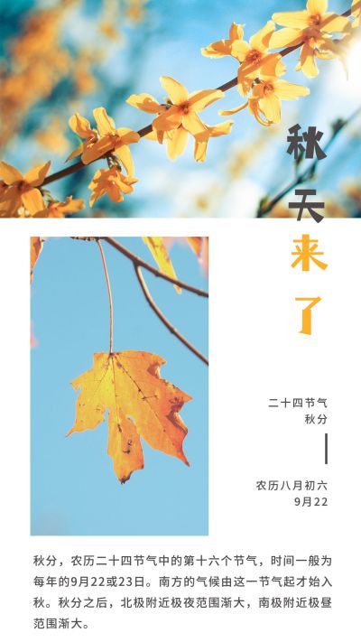 橙色背景秋日节气散文随记日签竖版配图 模板ID：2779