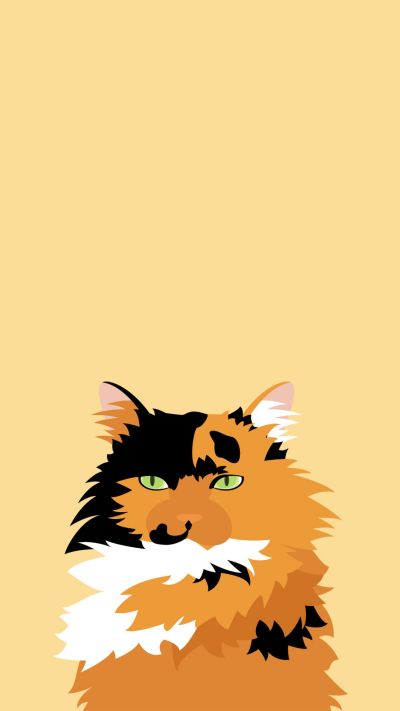 黄色背景可爱猫咪手机壁纸 模板ID：1568