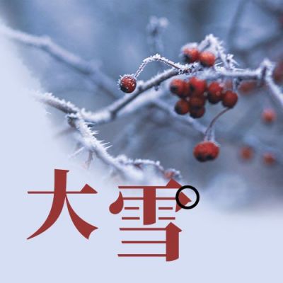 二十四节气大雪冬季霜雪浆果实景日签公众号次图 模板ID：3905