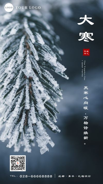 大寒实景手机海报 模板ID:4717