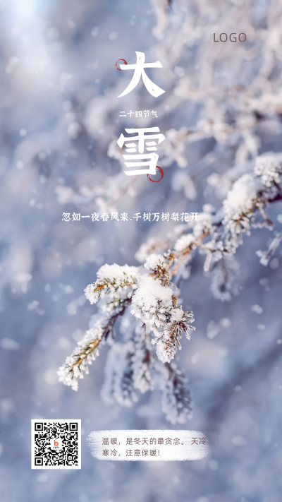 实景清新冬季二十四节气大雪手机海报 模板ID:4031