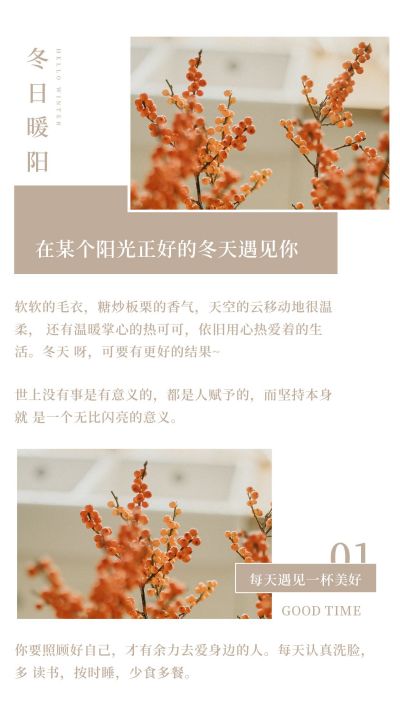 冬日暖阳文艺清新竖版配图 模板ID：4661