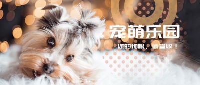 狗狗萌宠乐园宠物趣味公众号封面首图 模板ID:4607