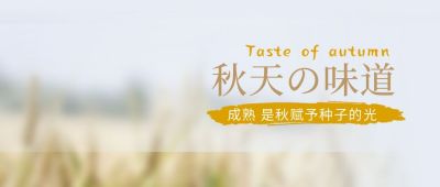 秋天的味道稻穗成熟种子丰收公众号首图 模板ID:4582