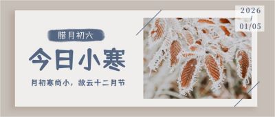 冬日雪景实景便签二十四节气小寒公众号首图 模板ID:4374