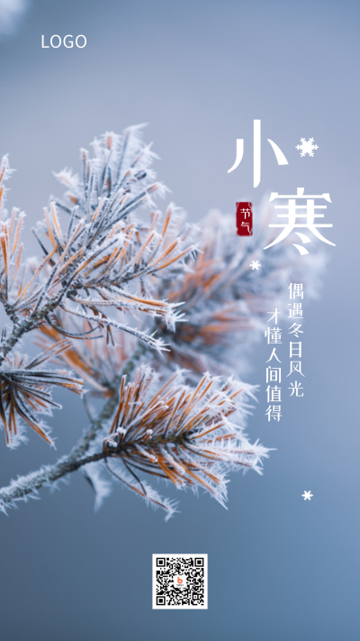 简约实景二十四节气小寒冬季唯美手机海报 模板ID:4672