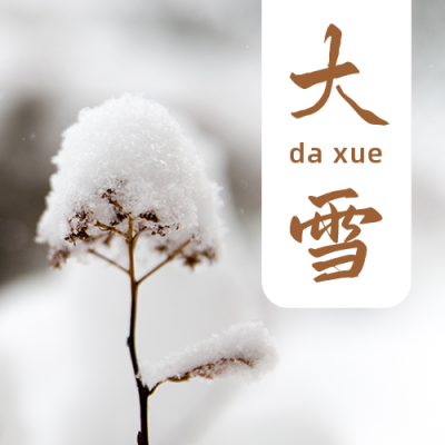 二十四节气大雪白雪枯草实景简约公众号次图 模板ID:3911