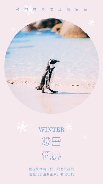 冬季下雪旅游竖版配图 模板ID:4668