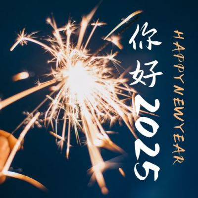 实景烟花你好2025新年问候公众号次图 模板ID:4805
