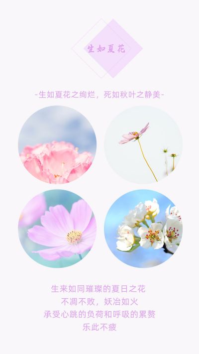 生如夏花之绚烂，死如秋叶之静美竖版配图 模板ID：4262