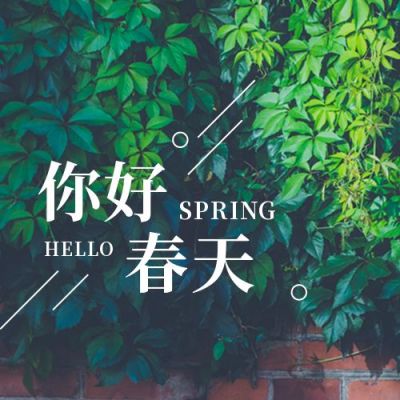 小清新你好春天绿色实景月初问候公众号次图 模板ID:5700