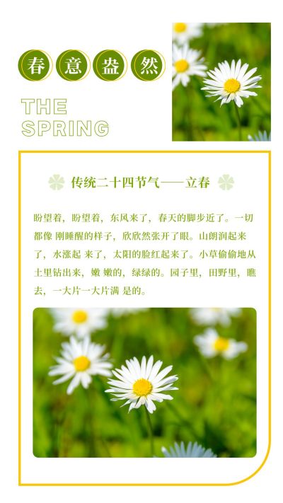 清新撞色春天立春节气竖版配图 模板ID：5729